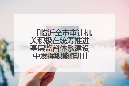 临沂全市审计机关积极在统筹推进基层监督体系建设中发挥职能作用