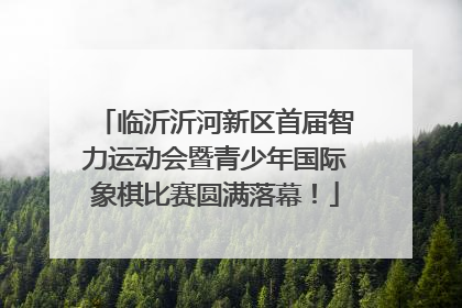 临沂沂河新区首届智力运动会暨青少年国际象棋比赛圆满落幕！