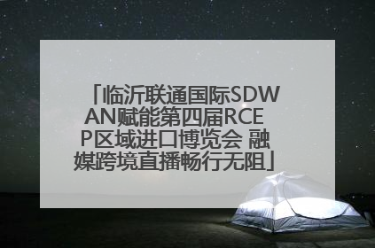 临沂联通国际SDWAN赋能第四届RCEP区域进口博览会 融媒跨境直播畅行无阻