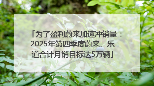 为了盈利蔚来加速冲销量：2025年第四季度蔚来、乐道合计月销目标达5万辆