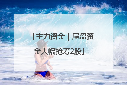 主力资金｜尾盘资金大幅抢筹2股