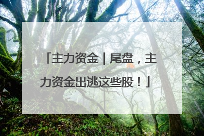 主力资金｜尾盘，主力资金出逃这些股！