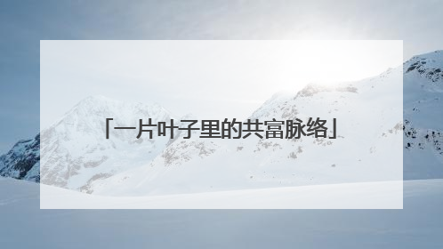 一片叶子里的共富脉络