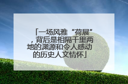 一场风雅“荷展”，背后是相隔千里两地的渊源和令人感动的历史人文情怀