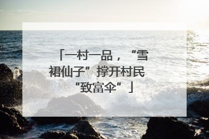 一村一品，“雪裙仙子”撑开村民“致富伞”