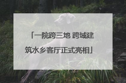 一院跨三地 跨域建筑水乡客厅正式亮相