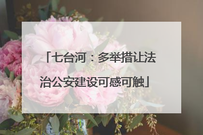 七台河：多举措让法治公安建设可感可触
