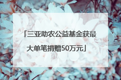 三亚助农公益基金获最大单笔捐赠50万元