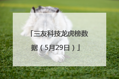 三友科技龙虎榜数据（5月29日）