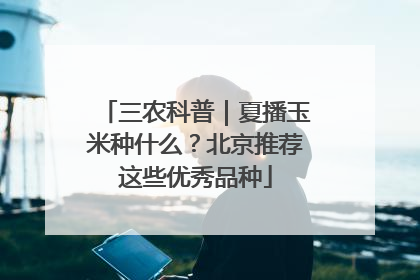 三农科普｜夏播玉米种什么？北京推荐这些优秀品种