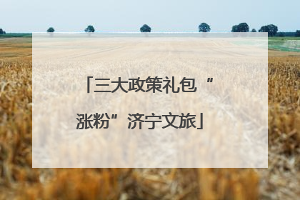 三大政策礼包“涨粉”济宁文旅