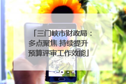 三门峡市财政局：多点聚焦 持续提升预算评审工作效能