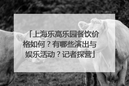 上海乐高乐园餐饮价格如何？有哪些演出与娱乐活动？记者探营