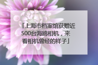 上海市档案馆获赠近500台海鸥相机，来看相机曾经的样子