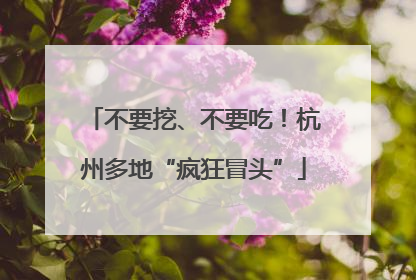 不要挖、不要吃！杭州多地“疯狂冒头”