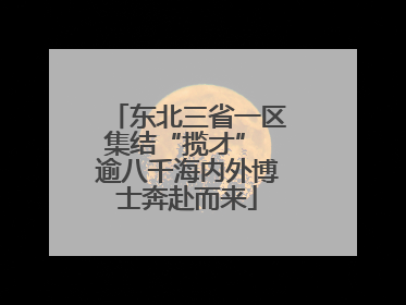 东北三省一区集结“揽才” 逾八千海内外博士奔赴而来