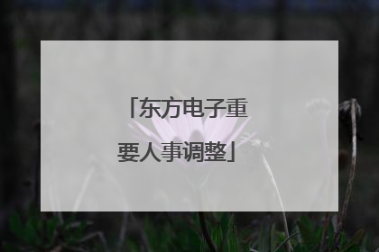 东方电子重要人事调整
