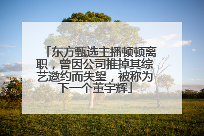 东方甄选主播顿顿离职，曾因公司推掉其综艺邀约而失望，被称为下一个董宇辉