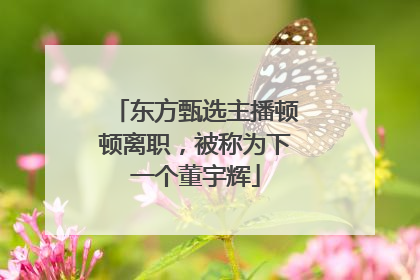 东方甄选主播顿顿离职，被称为下一个董宇辉