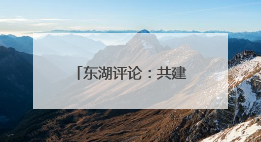 东湖评论：共建家园，思进图强