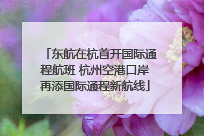 东航在杭首开国际通程航班 杭州空港口岸再添国际通程新航线