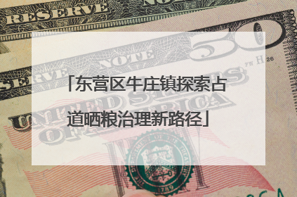 东营区牛庄镇探索占道晒粮治理新路径