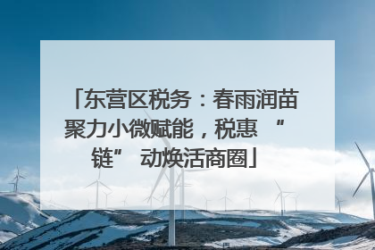 东营区税务：春雨润苗聚力小微赋能，税惠 “链” 动焕活商圈
