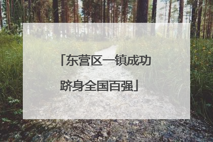 东营区一镇成功跻身全国百强