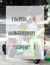 东营区：千亩薄荷田里的“高科技”