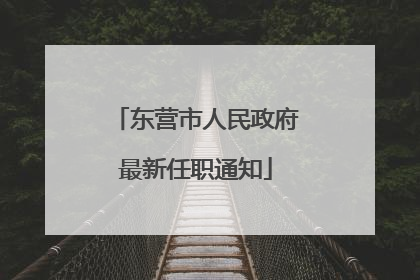 东营市人民政府最新任职通知
