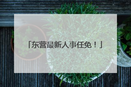 东营最新人事任免！