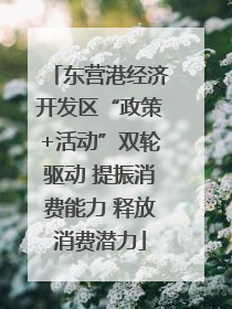 东营港经济开发区“政策+活动”双轮驱动 提振消费能力 释放消费潜力