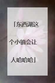 东西湖这个小镇会让人哈哈哈