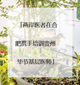 两岸医者在合肥携手培训贵州毕节基层医师