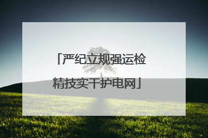 严纪立规强运检 精技实干护电网