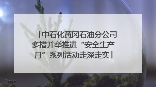 中石化黄冈石油分公司多措并举推进“安全生产月”系列活动走深走实