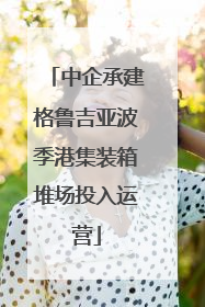 中企承建格鲁吉亚波季港集装箱堆场投入运营