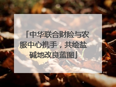 中华联合财险与农服中心携手，共绘盐碱地改良蓝图