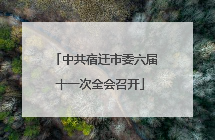 中共宿迁市委六届十一次全会召开