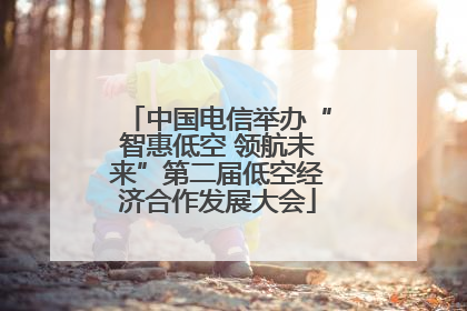 中国电信举办“智惠低空 领航未来”第二届低空经济合作发展大会