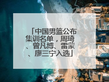 中国男篮公布集训名单，周琦、曾凡博、雷蒙、廖三宁入选
