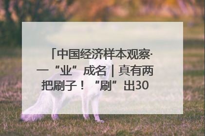 中国经济样本观察·一“业”成名｜真有两把刷子！“刷”出30亿级“颜值经济”