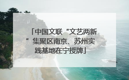 中国文联“文艺两新”集聚区南京、苏州实践基地在宁授牌