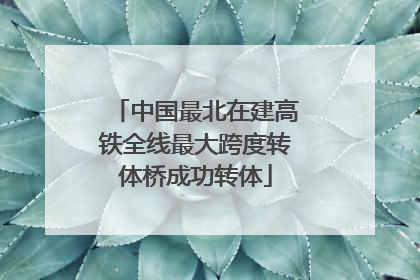 中国最北在建高铁全线最大跨度转体桥成功转体