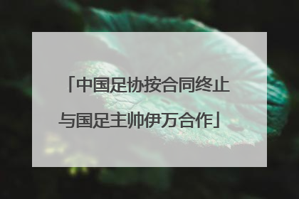 中国足协按合同终止与国足主帅伊万合作