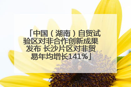 中国（湖南）自贸试验区对非合作创新成果发布 长沙片区对非贸易年均增长141%