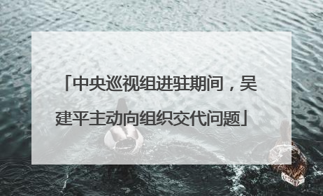 中央巡视组进驻期间，吴建平主动向组织交代问题