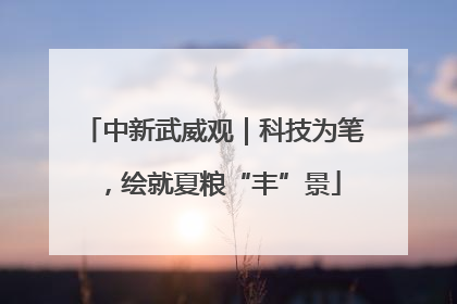 中新武威观｜科技为笔，绘就夏粮“丰”景