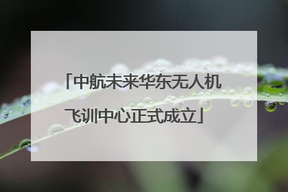 中航未来华东无人机飞训中心正式成立