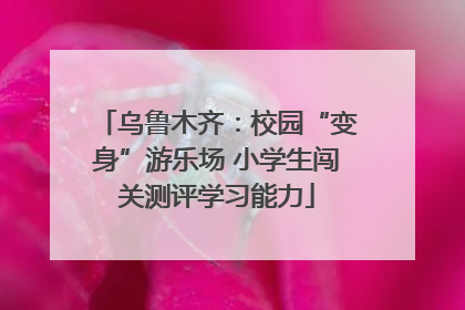 乌鲁木齐：校园“变身”游乐场 小学生闯关测评学习能力